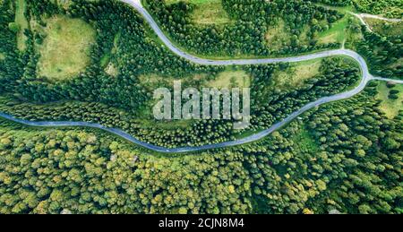 The road in the forest was shot from a bird's eye view. Stock Photo