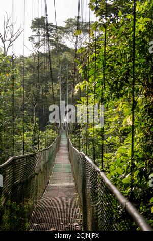 Sarapiqui adventure suspension Bridge Canopy Tours in the rain forest, Atlantic zone of Costa Rica.