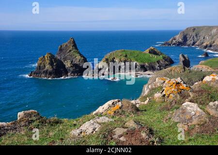 Lichen covered granite rocks above Kynance Cove on the Lizard peninsula in Cornwall, England, UK Stock Photo