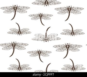 pattern with dragonflies fluttering through space Stock Vector