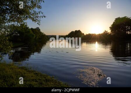 A quiet river polluted by algae at sunset on a summer evening. Stock Photo