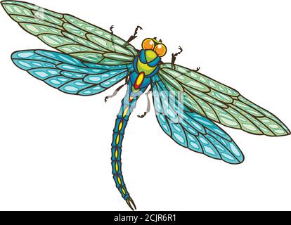pattern with dragonflies fluttering through space Stock Vector