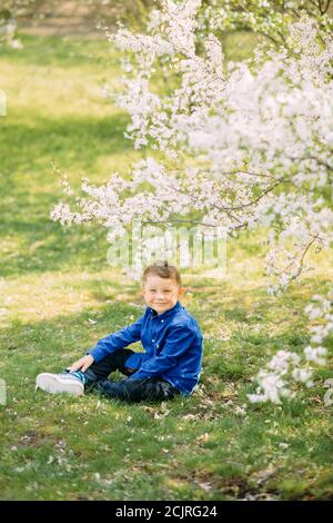 Happy child boy sits in green grass on sunlit glade against background of blooming spring garden. Stock Photo
