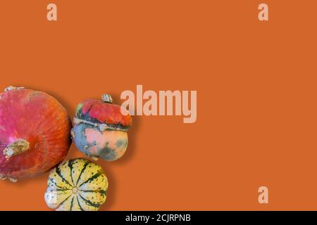 Colorful raw pumpkins in corner isolated on orange background with copy space for Halloween. Top view, flat lay Stock Photo