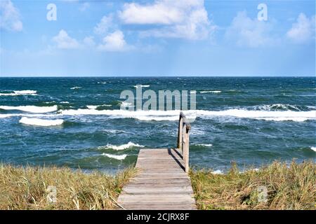 Rough sea with waves in autumn or winter, wooden path, reeds and dry grass in the morning Stock Photo