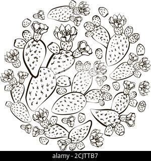 Set of banners with hand drawn prickly pear, sketch style vector illustration isolated on white background. Wild floral exotic tropical plant. Black a Stock Vector