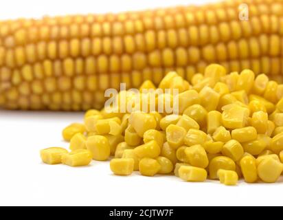 Corn kernels and corn on the cob against a white background Stock Photo