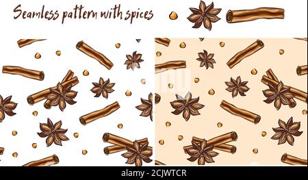Anise star sketches set. Single, batch and composition with cinnamon sticks. Seamless pattern with spices. Cinnamon, star anise, anise seed. Watercolo Stock Vector
