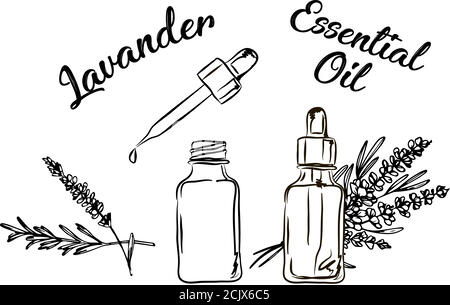 Lavander essential oil bottle  and bunch of flowers hand drawn vector illustration. Isolated drawing for Aromatherapy treatment, alternative medicine, Stock Vector