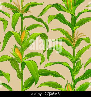 corn vector pattern Stock Vector