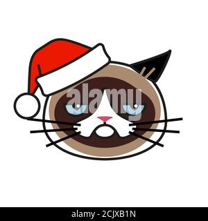 Grumpy cat in christmas hat isolated on white Stock Vector