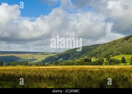 Marsh Meadow by the River Wharfe in Upper Wharfedale in the Yorkshire Dales National Park, during a September day walk. Stock Photo