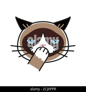 Angry cat meme Cut Out Stock Images & Pictures - Alamy