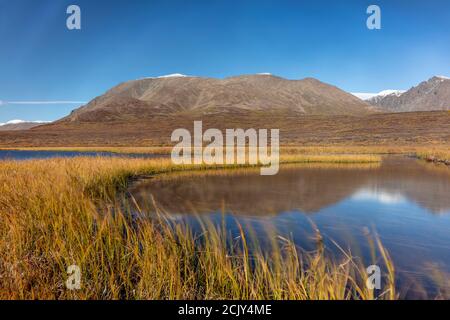 Kettle pond and Amphitheater Mountains along Denali Highway in Southcentral Alaska. Stock Photo