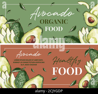 Hand drawn watercolor painting on white background. Vector illustration of avocado fruits sketch elements, eco healthy ingredients vector illustration Stock Vector