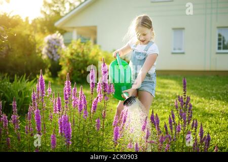 Cute young girl watering flowers in the garden at summer day. Child using watering can on sunny day. Mommys little helper. Stock Photo