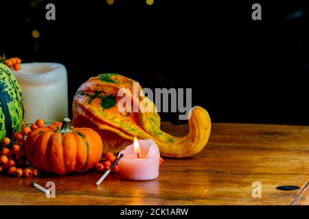 Two pumpkins with selective focus and a candle surrounded with rowan berries on rustic wooden table, black background with a little of yellow bokeh Stock Photo