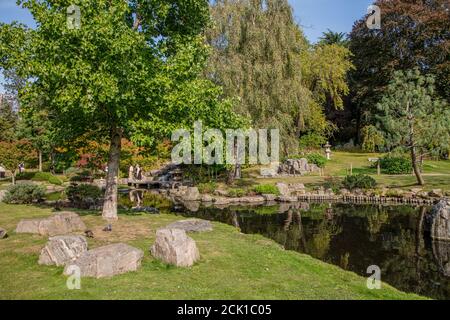 Ornamental carp pond in Kyoto Garden, Holland Park, London; opened by Prince Charles and the Crown Prince of Japan in 1991, as a Japanese kaiyushiki Stock Photo