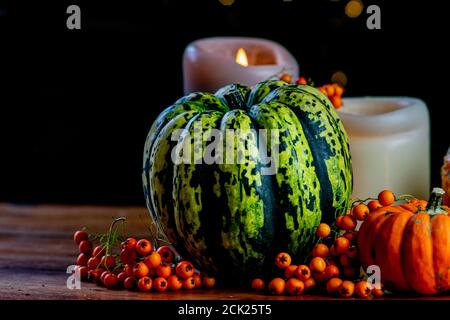 Variety of pumpkins, rowan berries and candles on rustic wooden table and black background with bokeh. Autumn symbolic vegetables in green, yellow and Stock Photo