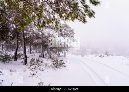 Traces of the tire tracks of a car on snow on a hilly road. Stock Photo