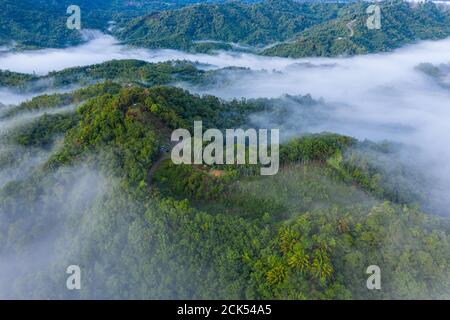 Aerial image of beautiful fresh green nature landscape scene of tropical rainforest and clouds during morning sunrise Stock Photo