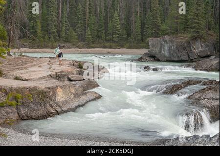 Yoho National Park, British Columbia, Canada – September 13, 2020:  A man and a woman walk on the rocks beside the Kicking Horse River at the Natural Stock Photo