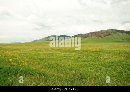 A picturesque valley with tall grass at the foot of a mountain range. Salbyk steppe, Khakassia, South Siberia, Russia. Stock Photo