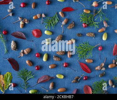 Autumn background of berries, small wild apples, acorns and leaves on bright blue linen textile background. Pattern of natural elements Stock Photo