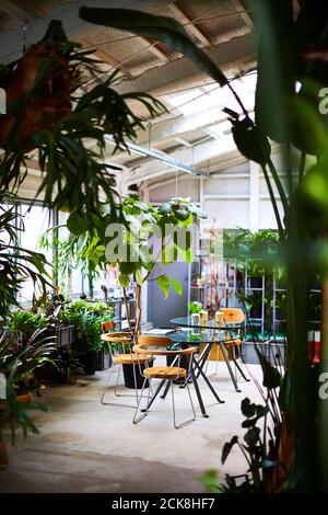 Plant-filled designer's studio Stock Photo