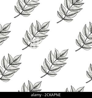 black and white leaf branch seamless pattern, autumn leaf decoration for backgrounds, fabric or wrapping, vintage leaf ink drawing, line art floral Stock Photo