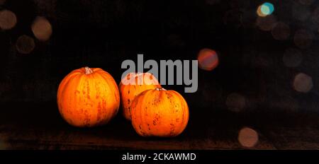 Orange autumn pumpkins against a dark grainy background with lens flare Stock Photo