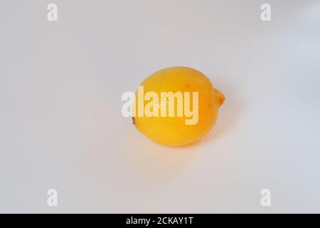 Lemon. Citrus yellow, whole. Close-up on a white background. Stock Photo