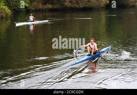 Rowers travel along the River Thames near Maidenhead, Berkshire. Stock Photo