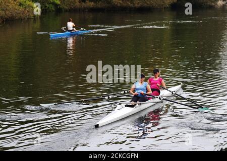 Rowers travel along the River Thames near Maidenhead, Berkshire. Stock Photo