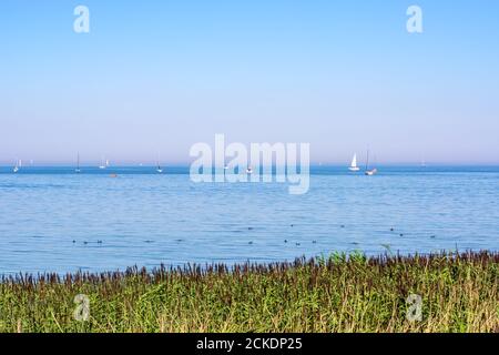 Yachts and  sailing boats in the distance on calm water, clear blue sky. Seascape. Stock Photo