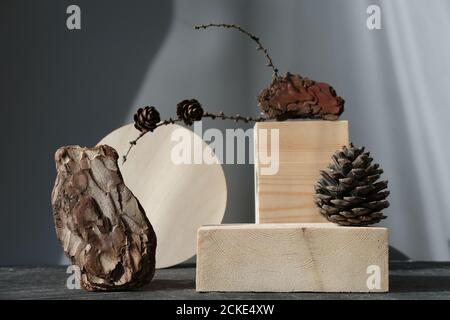 wooden podium for product presentation. pedestal or display for advertizing. variety of pine cones and pine bark. geometric podium. Scene with geometrical forms. Empty showcase. eco friendly design Stock Photo