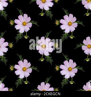 Colorful floral seamless pattern with cosmos flowers collage on black background. Stock Photo