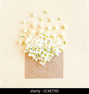 Creative layout of their Jasmine bouquet in a crab envelope on a beige background. lay flat, top view Stock Photo