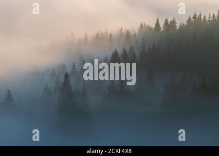Early fall landscape in the beautiful Romanian villages Stock Photo