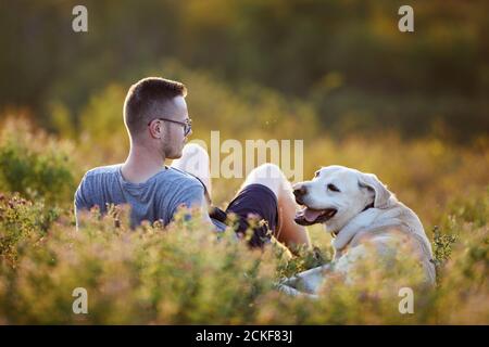 Man with dog on meadow at sunset. Pet owner lying with his cute labrador retriever in grass. Stock Photo
