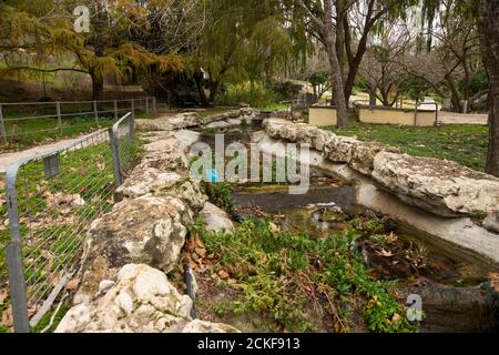 The Jerusalem Botanical Gardens is a gem in the heart of Jerusalem. It serves as an education, learning and research center, holds a diverse collectio Stock Photo