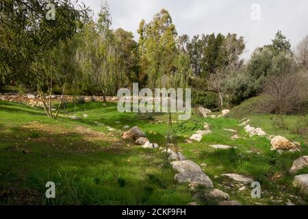 The Jerusalem Botanical Gardens is a gem in the heart of Jerusalem. It serves as an education, learning and research center, holds a diverse collectio Stock Photo