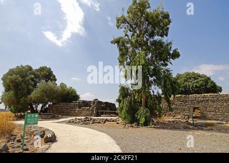 Gamla Second Temple period, ancient Jewish city and nature reserve on the Golan Heights, Israel Stock Photo