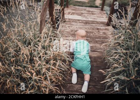 A small child crawls on a wooden bridge across a pond with reeds Stock Photo