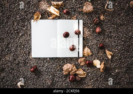 Black Note book with yellow autumn leaves with marrons on a black background. With marrons and autumn elements, mockup option Stock Photo