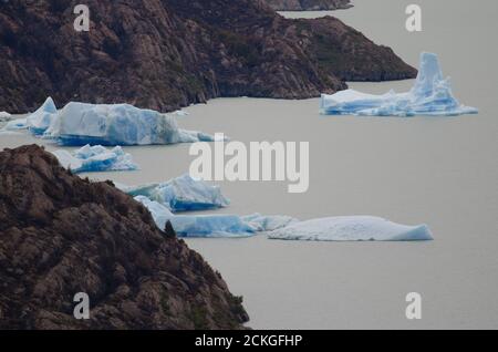 Fragments of ice floating in Grey lake and slopes burned in the forest fire of 2011-2012. Torres del Paine National Park. Chilean Patagonia. Chile. Stock Photo