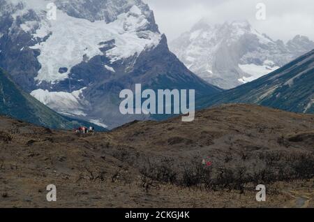 Hikers on land burned in the Torres del Paine National Park by the great fire in 2011-2012. Magallanes and Chilean Antarctic Region. Chile. Stock Photo