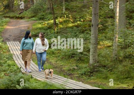 Two young girlfriends walking along the wooden path with their dog and talking in the forest Stock Photo
