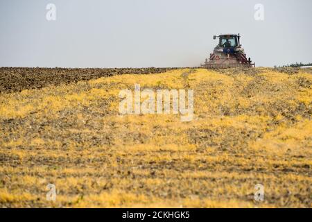 Vilemov, Czech Republic. 16th Sep, 2020. A tractor ploughing a field of Collective farm Senice, on September 16, 2020, near Vilemov, Olomouc Region, Czech Republic. Credit: Ludek Perina/CTK Photo/Alamy Live News Stock Photo