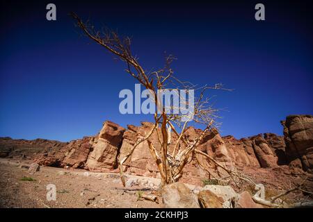 Solomon's Pillars, Timna Valley, Arava, Israel. The Timna Natural and Historic park is located in the southwestern Arava, some 30 km. north of the Gul Stock Photo